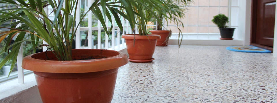 Eco Friendly environment
